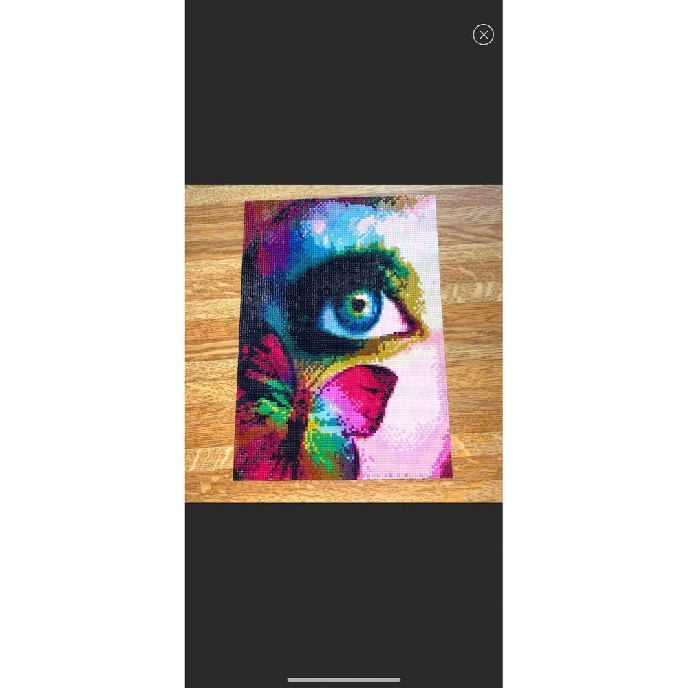 *Finished** Diamond Art Wall Decor On Canvas